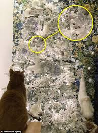 As a cat owner, you have a tough decision to make: Spot The Kitten Adorable White Cat Camouflages Itself In A Dazzling Christmas Tree Culture Readsector