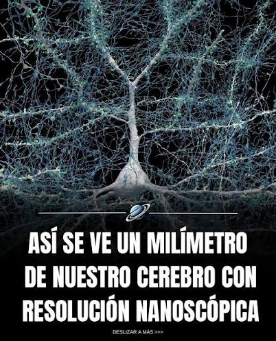 Tu cerebro contiene alrededor de 86 mil millones de neuronas, cada una  formando miles de conexiones con otras neuronas. En tan solo un milímetro  cúbico de tejido cerebral, los científicos pueden encontrar
