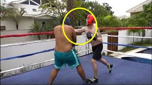 Bruno tavares bass, são paulo. Felipe Neto Nocauteia Seu Amigo Bruno Correia Em Luta De Boxe Youtube