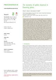 Image result for Orthochilus ruwenzoriensis