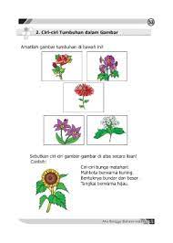Memiliki daun tunggal yang lebar; Page 61 Untitled