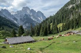 Am fuße des untersbergs stürzt sich der almbach in die wildromantische almbachklamm. Touren Tipp Hutten Hopping Nationalpark Berchtesgaden
