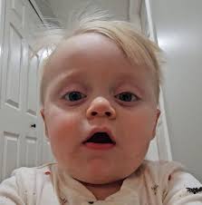 Red Lobster Fire in Clarksville