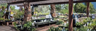 O toole's garden center westminster hours. Harlequins Gardens Boulder S Specialist In Well Adapted Plants