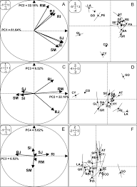 Image result for Crotalaria cylindrocarpa