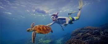 Belize is situated on the caribbean sea, south of mexico and east and north of guatemala in history. Buchen Sie Ihren Belize Urlaub Die Belize Guatemala Reise Oder Auswandern Belize Hier