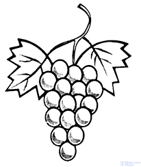 Dibujo Uvas Para Colorear