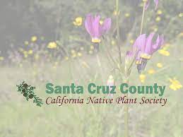 Check spelling or type a new query. Home Santa Cruz Cnps