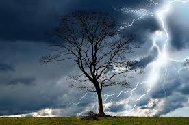 Hvis du nogensinde har fundet dig selv i en lynvej, kan du have undret dig over, hvad du skal gøre for at være sikker. Trae Storm Himmel Lyn Regn Vejr Natur Fare Vind Vad Vinter Pikist