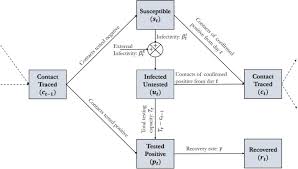 Phone:* dial 2‑1‑1, then choose option 6. Evaluation Of Reopening Strategies For Educational Institutions During Covid 19 Through Agent Based Simulation Scientific Reports