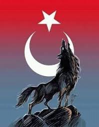 Ahmet Adli Kullanicinin Turk Panosundaki Pin Kurt Dovmeleri Mavi Sanat Bayrak