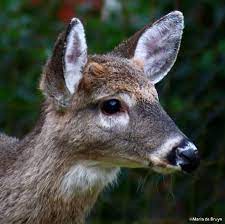 Kgfw is proud of its locally produced programs like breakfast flakes with andy, liz, dave, dallas and reido; Button Buck My Beautiful World