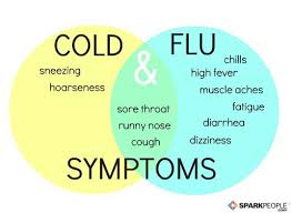 Is It A Cold Or The Flu Sparkpeople