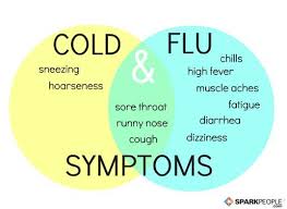 is it a cold or the flu sparkpeople