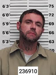 Seeking friend after release from Pendleton correctional facility in Indiana