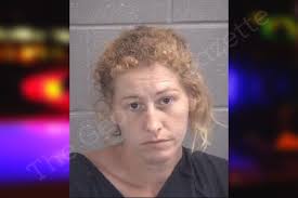 Amanda Ashley — Spalding County Jail Bookings