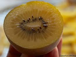 Il est aussi source de vitamine b9. Kiwi Jaune Varietes Culture