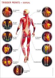 Chaque Douleur A Son Point De Soulagement Bien Etre Sante Relaxation Massage Stress Shiatsu Qi Qong Phytoth En 2020 Massotherapie Douleur Musculaire Douleur