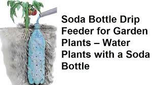 Find everything from quality garden furniture and outdoor solar lights to garden power tools and diy tools at trueshopping. Soda Bottle Drip Feeder For Garden Plants Water Plants