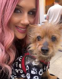 How to prevent crusty eye boogies in Yorkies?