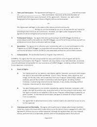 Social Media Marketing Contract Template Awesome Social Media Agreement Template Azs Contract Template Social Media Marketing Free Business Proposal Template