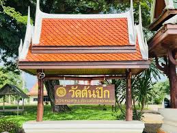 หนองตรุ