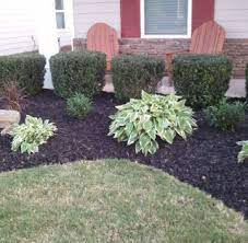 We did not find results for: Petrie S Quality Topsoil Ltd Garden Supplies Milton Home