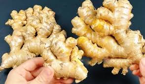 Gừng là vị thuốc phổ biến trong Đông y nhưng những người này nên tránh xa