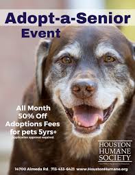 Houston humane's adopt a pet page can answer the questions you're seeking answers to. Adopt A Senior Pet Event