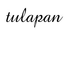 Tulapan Mi Pueblo