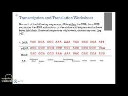 Learn vocabulary, terms and more with flashcards, games and other study tools. Transcription And Translation Practice Worksheet Answers Jobs Ecityworks