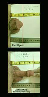 13 5 cm penis