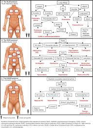 The rush exam helps to differentiate different types of shock at bedside effectively, thereby facilitating timely intervention and treatment appropriate for each type of shock. Point Of Care Ultrasonography From The Emergency Department To The Internal Medicine Ward Current Trends And Perspectives Springerlink