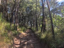 Winding falls is the only cabin. Kateyadventures Windin Falls Hike