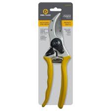 Image result for Pseudomussaenda stenocarpa