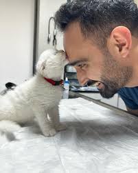 Recep Bayram (@rcepbyrm) • Instagram photos and videos