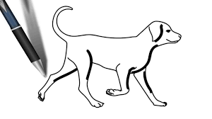 If your kids are into cartooning they will love this one for sure. Dog Step By Step Drawing Easy Drawing Steps Easy Drawings Step By Step Drawing