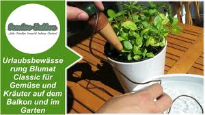 Sie benötigen eine ausreichende es gibt viele gute gründe, schon bei der gartengestaltung ein automatisches bewässerungssystem zu installieren. Urlaubsbewasserung Blumat Classic Fur Gemuse Und Krauter Auf Dem Balkon Und Im Garten Youtube