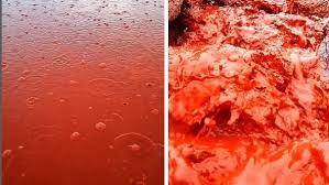 Is It Blood Or Beauty? Iran's Hormuz Island Beach Turns Red After Heavy  Rain – Watch Viral Video - Oneindia News