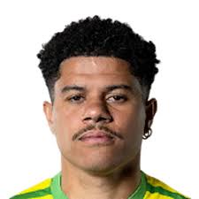 Gabriel Davi Gomes Sara EA FC 24