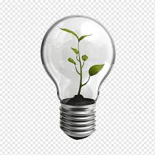 Incandescent bulbs are a standard home light bulb and are frequently used in microwaves, ovens and ceiling fans. Paper Aiesec Non Profit Organisation Waste Service Light Bulb Lights Service Recycling Png Pngwing