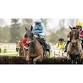 Season Finale at Fontwell Park Racecourse event image