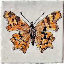 Image result for Polygonia c-album