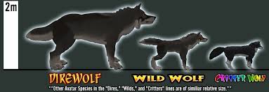 the werehouse dires wolf avatar in 2019 dire wolf size