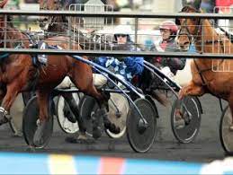 16 partants sont au départ de cette course et se disputent la victoire finale. Prix Tenor De Baune Et Criterium Continental L Equipe
