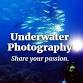 Underwater Photography for Divers event image