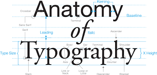 Typography The Anatomy Of A Letter Osman Assem Digital Art Monster