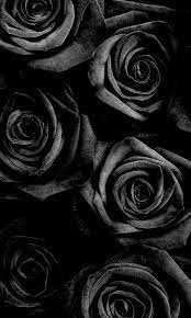 Le style vient de l'utilisation de seulement deux « couleurs ». Wallpaper Black Rose Black Flowers Wallpaper Black Roses Wallpaper Rose Wallpaper