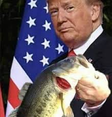 Jeremy Laughlin (@fishinonabudget) • Instagram photos and videos