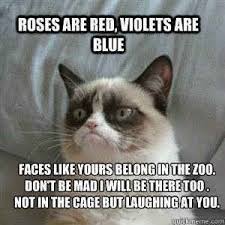 She Is Good At Rhyming Funny Grumpy Cat Memes Grumpy Cat Quotes Funny Animal Quotes